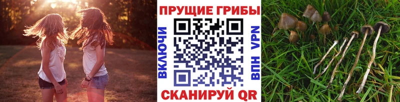 купить наркоту  Сосенский  blacksprut зеркало  Галлюциногенные грибы мухоморы 